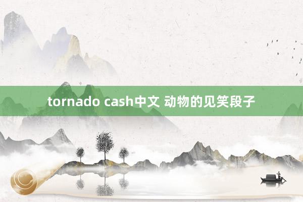 tornado cash中文 动物的见笑段子