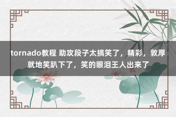 tornado教程 助攻段子太搞笑了，精彩，敦厚就地笑趴下了，笑的眼泪王人出来了