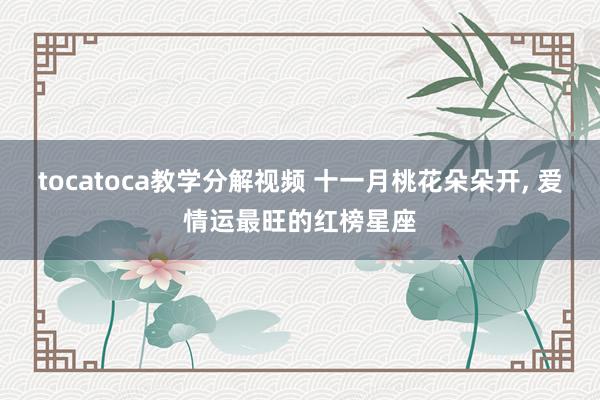 tocatoca教学分解视频 十一月桃花朵朵开, 爱情运最旺的红榜星座